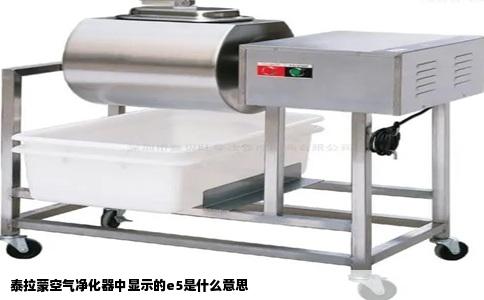 泰拉蒙空气净化器中显示的e5是什么意思