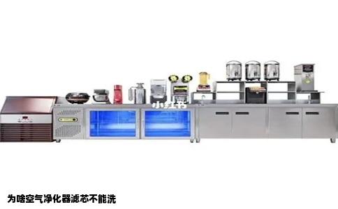 为啥空气净化器滤芯不能洗