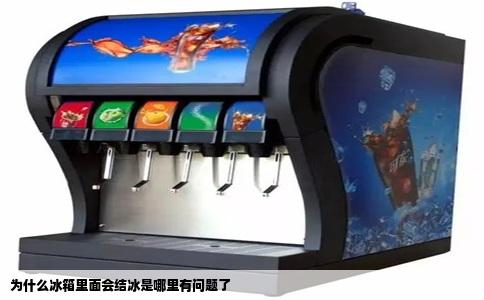 为什么冰箱里面会结冰是哪里有问题了