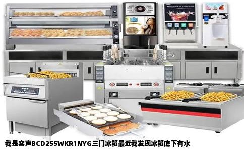 我是容声BCD255WKR1NYG三门冰箱最近我发现冰箱底下有水