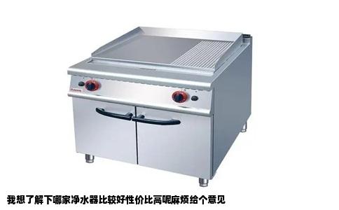 我想了解下哪家净水器比较好性价比高呢麻烦给个意见