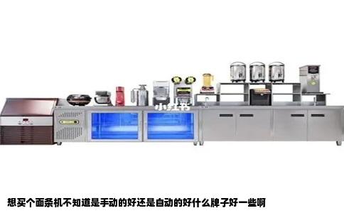 想买个面条机不知道是手动的好还是自动的好什么牌子好一些啊