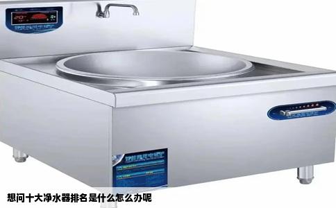 想问十大净水器排名是什么怎么办呢