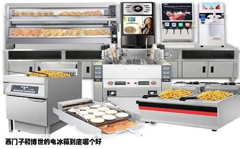 西门子和博世的电冰箱到底哪个好