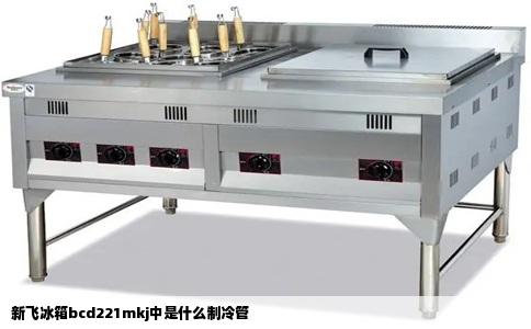 新飞冰箱bcd221mkj中是什么制冷管