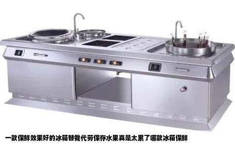 一款保鲜效果好的冰箱替我代劳保存水果真是太累了哪款冰箱保鲜