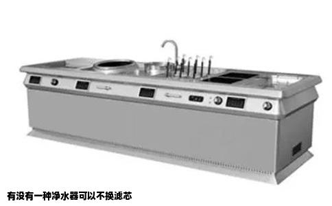 有没有一种净水器可以不换滤芯