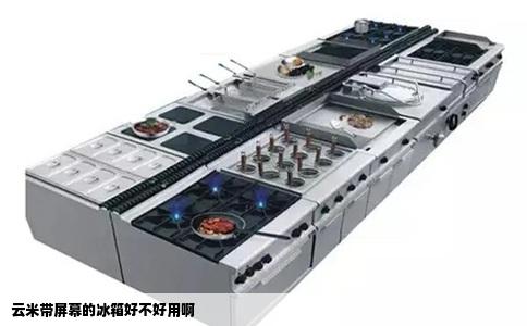 云米带屏幕的冰箱好不好用啊