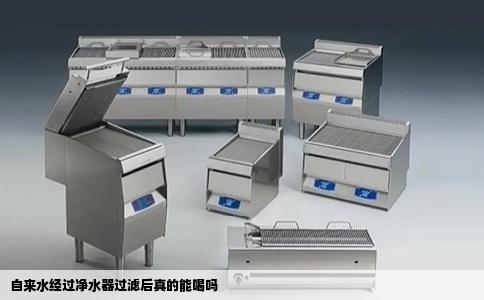 自来水经过净水器过滤后真的能喝吗