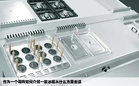 作为一个导购如何介绍一款冰箱从什么方面去讲